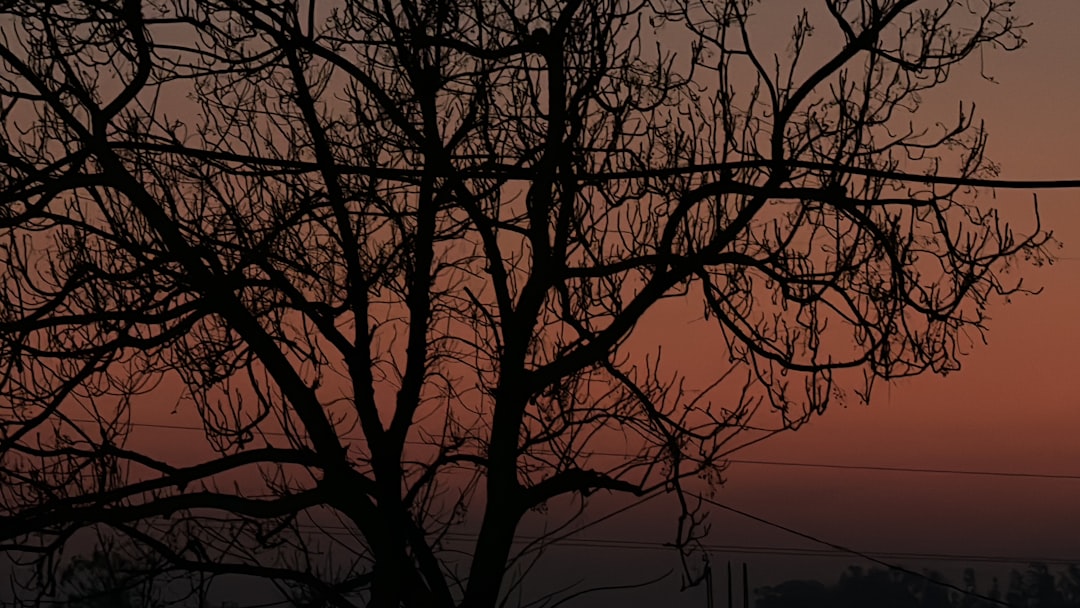 Servicio para reparar iPhone 15 Pro en Barcelona con garantía y confianza